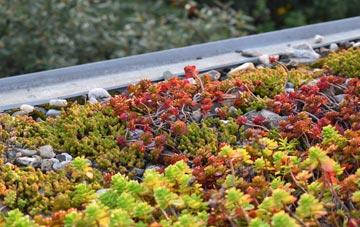 the cost of New Langholm green roof installation