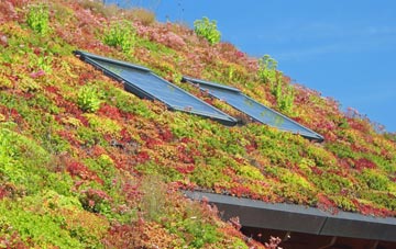 New Langholm living roof systems