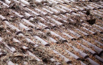 New Langholm roof cleaning companies