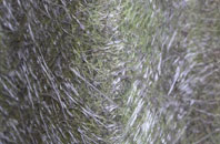 New Langholm fibreglass roof work