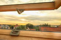 rated New Langholm roof window companies